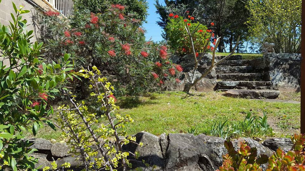 קוראג'ונג Blueberry Hills On Comleroy Farmstay - Self-Contained Cottages מראה חיצוני תמונה
